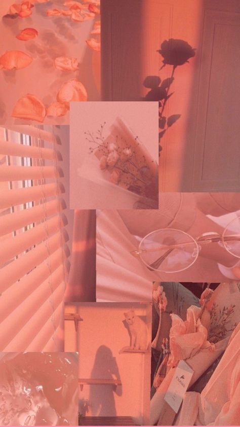 Coral Essence Aesthetic, Soft Pink And Orange Aesthetic, Peach Wallpaper Iphone, Essence Aesthetic, Pastel Lockscreen, Moth Aesthetic, Animal Wallpapers, Peach Wallpaper, Peach Aesthetic