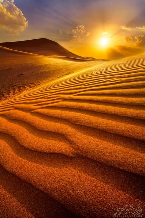 Landscape Designs, Arabian Nights, In The Desert, Sand Dunes, Beautiful Sunset, The Desert, Beautiful Photography, Front Yard Landscaping, Amazing Nature