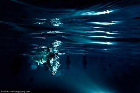 Olympic Swimming - Underwater Photography - McMaster Swim Team Frozen Coloring Pages, I Love Swimming, Pool Photography, Olympic Swimming, Olympic Swimmers, Ocean Wallpaper, Background Noise, Swim Team, Underwater Photography