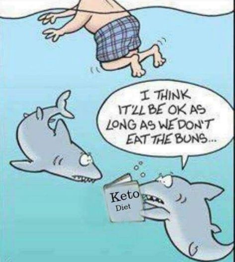 Everything but the buns Diet Jokes, Diet Humor, Slim Fast, Sarcasm Humor, Www Pinterest Com, Funny Cartoons, Fit Mom, Sharks, Memes Quotes