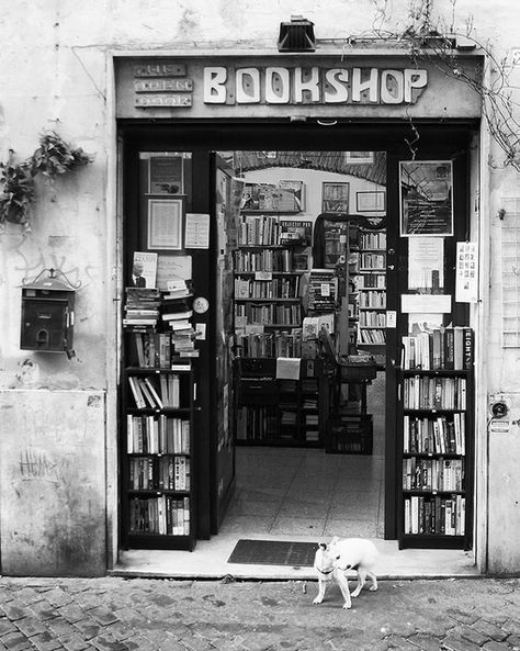 The Bookshop by RJell, wherever it is via Flickr Black And White Library, Book Lounge, Stay Rad, Book Shops, Black And White Photo Wall, White Books, Book Shop, Bookish Things, Gray Aesthetic