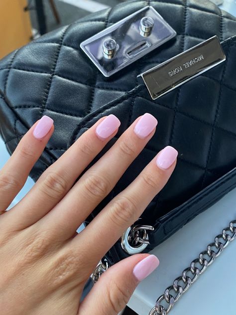 No Chip Pink Nails, Light Pink Opaque Nails, Light Nails Ideas Short, Nail Day Outfit Casual, Light Pink Squoval Nails, Light Bubble Gum Pink Nails, Short Square Baby Pink Nails, Pale Summer Nails, Pink Dip Nail Colors