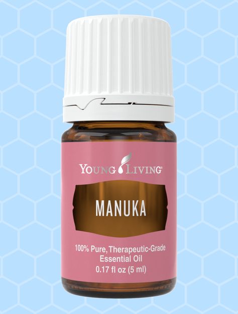 Learn all about Manuka Essential Oil. What can you use this oil for and why should you be using it to support your health! Manuka Essential Oil, Manuka Oil, List Of Essential Oils, Nighttime Skincare, Essential Oils For Skin, Natural Antibiotics, Citrus Oil, Young Living Oils, Honey Recipes