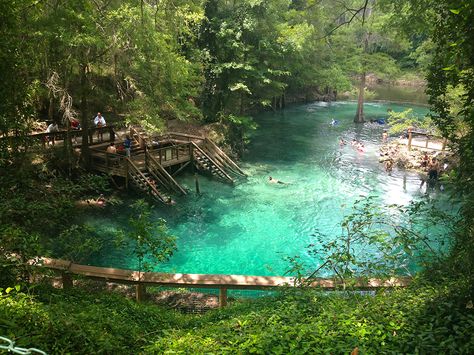 Madison Blue Spring panorama Florida Hikes, Blue Springs State Park, Florida Adventures, Florida State Parks, Florida Springs, Natural Swimming Pools, Best Vacation Spots, Florida Trip, Old Florida