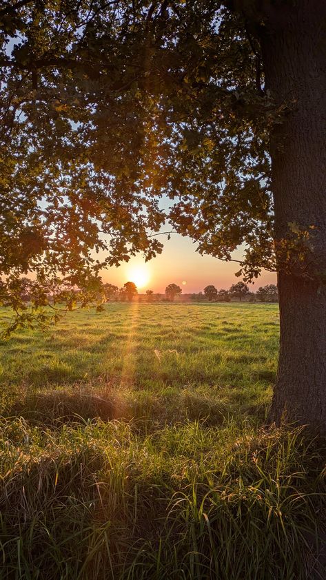 Late summer sunset at the end of August. Summer In Nature, Sunshine Nature, Soft Astethic, Beautiful Fields Nature, Sun Through Leaves, Sky Landscape Photography, Sunset Ideas, Sunset Summer, Pretty Landscape Photography