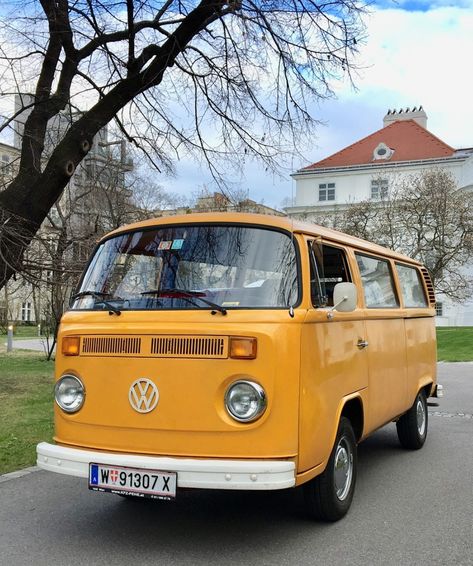 Combi Vw, Vw Bus, Bay Window, Volkswagen, Audi, Vehicles, Van, On Instagram, Instagram