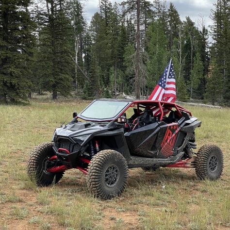 Rzr xp 1000