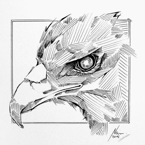 Art Sketches Pencil Animals, Eagle Ink Drawing, Abstract Sketch Ideas, Abstract Animal Art Drawing, Abstract Eagle Tattoo, Fineliner Drawing Ideas, Pen Drawing Inspiration, Abstract Art Pen, Pen Sketch Ideas Sketchbooks