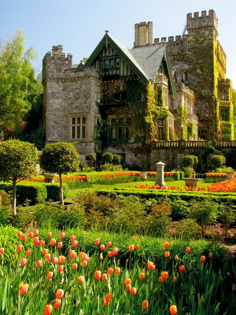 Hatley Castle, Mansion Homes, Victoria Vancouver Island, Victoria Island, Sunset Travel, Chateau France, Beautiful Castles, British Columbia Canada, Bc Canada