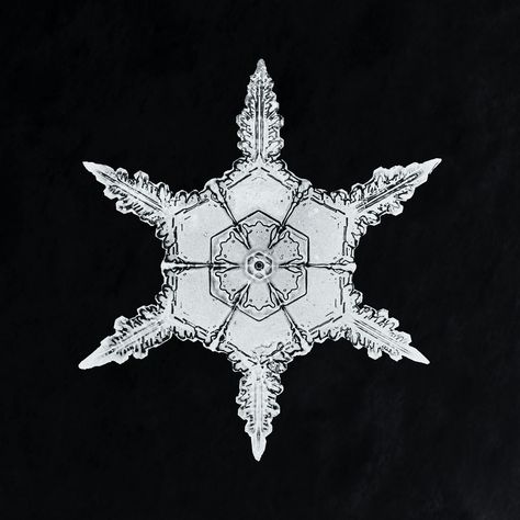 Wilson Bentley's Snowflake 342 (ca. 1890) detailed photograph of snowflakes in high resolution by Wilson Alwyn Bentley. Original from The Smithsonian. Digitally enhanced by rawpixel. | free image by rawpixel.com Wilson Bentley, Snowflake Photos, Snow Crystal, Download Free Images, Vintage Images, Free Image, Black And White Photography, Vintage Illustration, Bentley