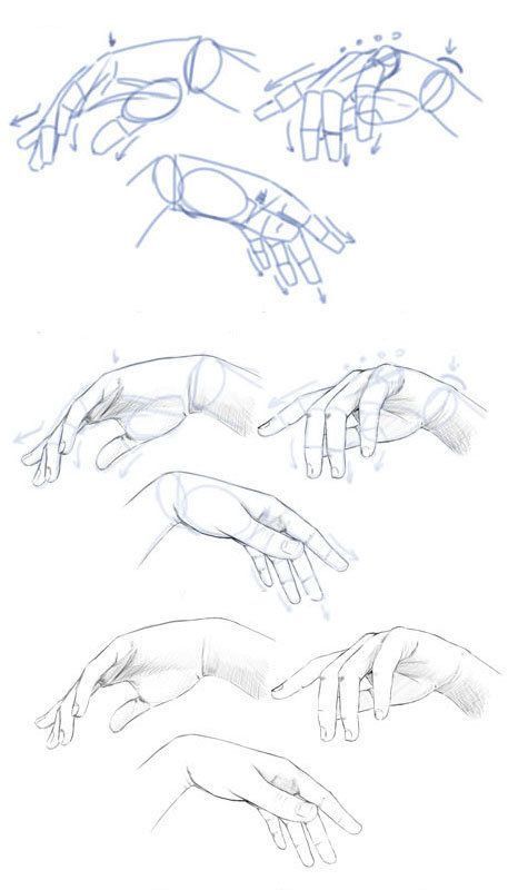 Human Anatomy Drawing, Hand Drawing Reference, Anatomy Sketches, Anatomy Drawing, Hand Sketch, Body Drawing, Anime Drawings Tutorials, Drawing Skills, Drawing Lessons