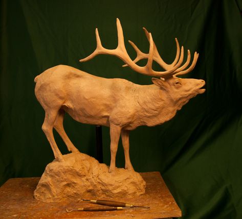 Deer Sculpture, Elk Sculpture, Stag Sculpture, Bison Sculpture, Elk Pictures, Woodland Animals Sculptures & Statues, Bass Fishing Shirts, Wood Sculpture Art, Eagle Pictures