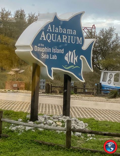 Things to Do in Dauphin Island - ETB Travel Photography Fishing Dock, Dauphin Island, Audubon Birds, Bird Sanctuary, Giant Tree, Gulf Shores, Beach Reading, Visitor Center, Gulf Of Mexico