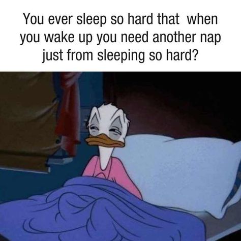 Sleep Cartoon, Captions For Guys, Sleep Meme, Funny Photo Captions, Virgo Memes, Cartoon Disney, Old Disney, Funny Reaction Pictures, Cartoon Profile Pics