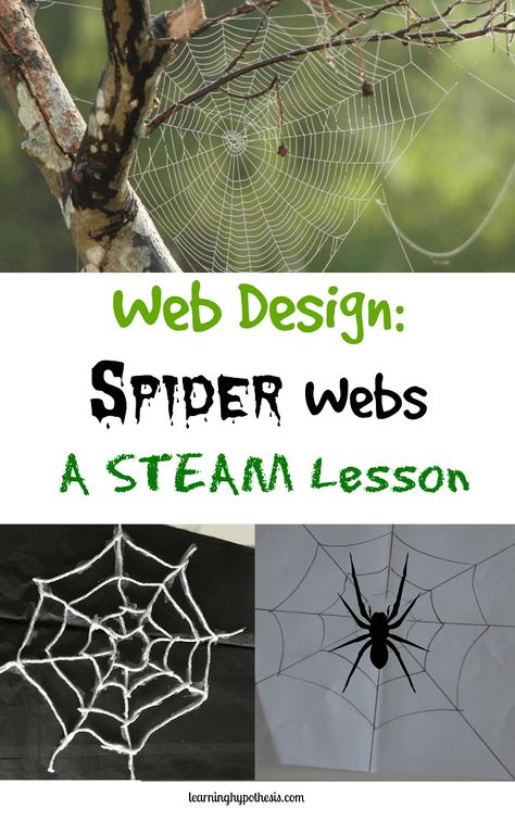 Web Design: Spider Webs Spider Unit Study, Spider Lessons, Spider Unit, Halloween Stem Activities, Spider Activities, Steam Lessons, Makey Makey, Halloween Stem, Social Innovation