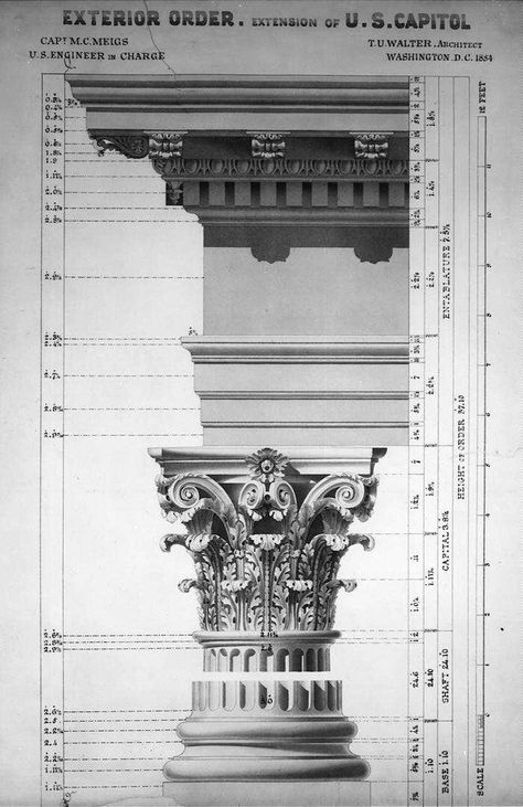 The Corinthian order as used in extending the US Capitol in 1854: the column's shaft has been omitted Corinthian Order, Architecture Antique, Classical Building, Architectural Orders, Architecture Classic, Greek Columns, Plans Architecture, Roman Architecture, Architectural Prints