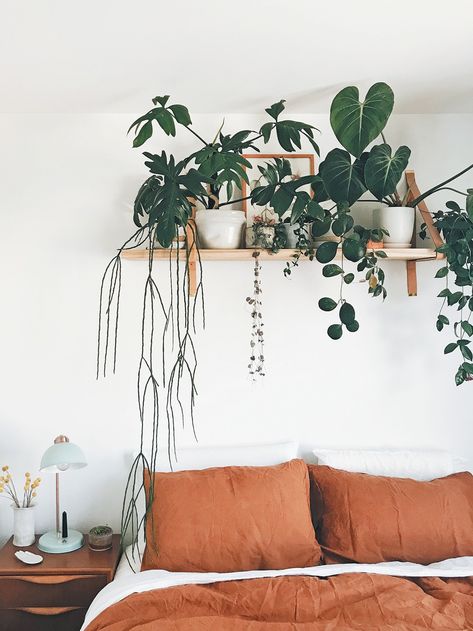 How to Create a Plant Shelf That Doesn’t Get Dirt All Over Your Bedding Bedroom Plant Shelf, Plants Hanging, Plant Shelf, Bedroom Plants, Perfect Bedroom, Boho Bedroom Decor, Plant Shelves, Cool Beds, Room Ideas Bedroom