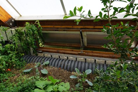 Solar Greenhouse Basics: Ventilation | Ceres Greenhouse Round Greenhouse, Growing Bananas, Greenhouse Ventilation, Passive Solar Greenhouse, Traditional Greenhouses, Solar Greenhouse, Tropical Greenhouses, Commercial Greenhouse, Energy Water