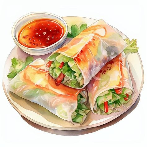 Free Vectors | Fresh spring roll (rice paper roll salad) Spring Roll Drawing, Spring Roll Illustration, Vietnam Roll, Breakie Ideas, Food Sketches, Salad Roll, Rice Paper Wraps, Summer Roll, Visual Planner