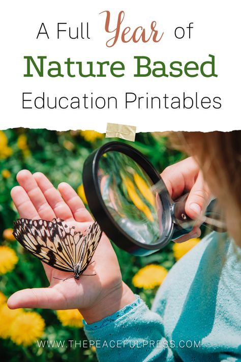 Study the great outdoors with an entire year of Nature Guides for preschool homeschool. The sets of printable nature based curriculum are the perfect unit studies for beginning homeschooling with your toddler. Each explores various themes from the farm, trees, mountains, and more! All our homeschool lessons are based on Charlotte Mason and Montessori methods. Download the free booklist for 100 kid's books about nature! Sign up to receive a week of sample curriculum at ThePeacefulPreschool.com Nature Study Curriculum, Forest School Printables, Nature Science Preschool, Charlotte Mason Co-op, Preschool Forest School Activities, Nature Activity Preschool, Nature Study For Preschoolers, Preschool Nature Study, Nature Based Preschool Curriculum