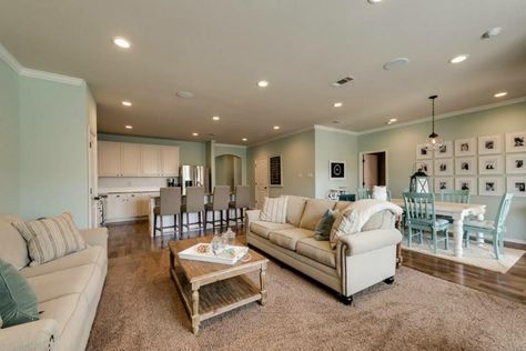 Sherwin Williams Slow Green Sherwin Williams Slow Green, Green Sherwin Williams, Green Living Room, Kitchen Updates, Basement Reno, Nursery Boy, Beach House Exterior, Trending Paint Colors, Diy Basement