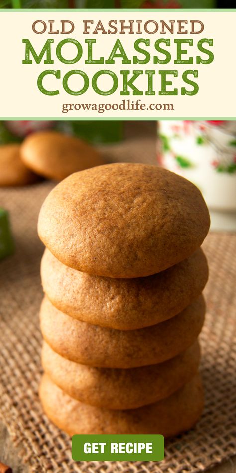 Old Fashioned Molasses Cookies, Soft Molasses Cookies, Spice Cookie Recipes, Holiday Flavors, Molasses Recipes, Bread Biscuits, Ginger Cookie Recipes, Molasses Cookies Recipe, Soft Cookie Recipe