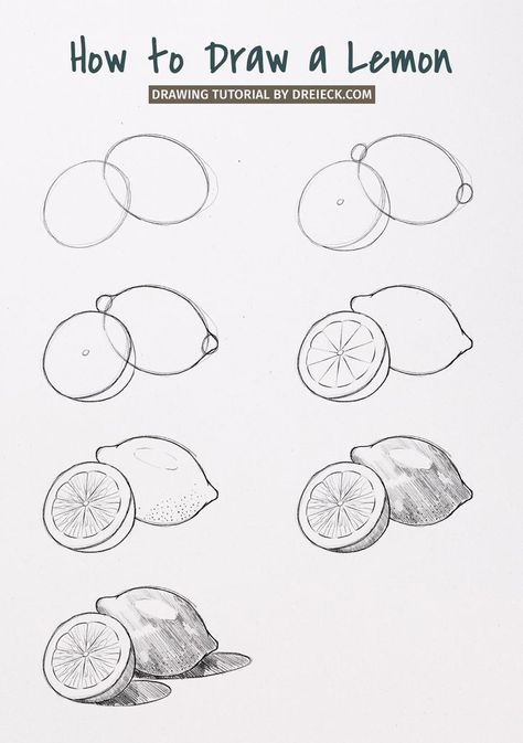 Let’s draw a lemon! Today I’ll show you a bulletproof way to draw one and a half lemon step by step. The only tools you will need are a simple pencil and a rubber. In fact, this tutorial is the perfect foundation to draw any kind of lemons or even other fruits with similar shapes! Sketching How To Step By Step, Draw Beginner Step By Step, Learn Art Step By Step, Easy Art Step By Step, Basic Sketches For Beginners, Basic Of Drawing Step By Step, Chiaroscuro Drawing Easy, How To Sketch Step By Step, Learn How To Sketch For Beginners