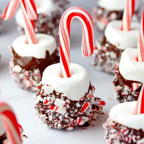 Candy Cane Marshmallow Pops - Chocolate syrup and marshmallows with candy canes. Marshmallows dipped in chocolate syrup are very hard to resist. Make sure your Christmas party is a blast with the help of this wonderful treat. Christmas Confections, Cute Christmas Desserts, Holiday Treats Recipes, Easy Holiday Treats, Christmas Candies, Christmas Food Treats, Peppermint Marshmallows, Christmas Delights, Chocolate Sticks