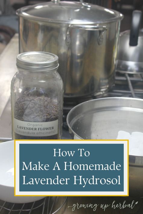 Learn how to make your own homemade lavender hydrosol in this step-by-step tutorial. Hydrosols are safe, effective, and have many uses. You've gotta try it! Hydrosol Recipes, Natural Headache Relief, Lavender Hydrosol, Medicine Garden, Homemade Cleaning Supplies, Harvesting Herbs, Health Blogger, Cold Remedies, Living Tips