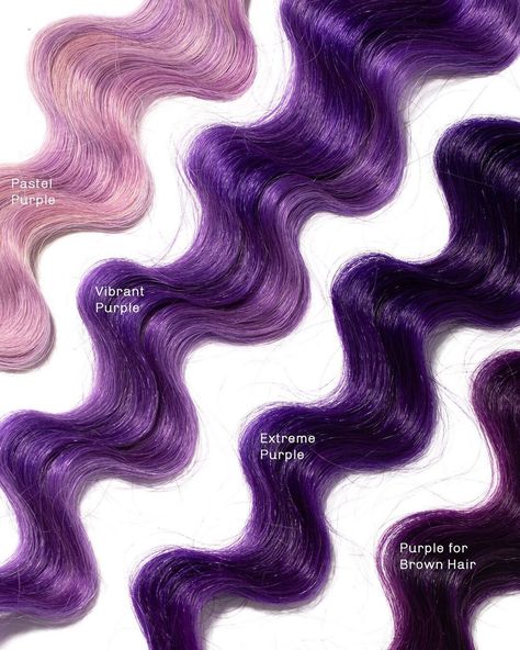 oVertone on Instagram: “achieve grapeness with any of our purple coloring conditioners 🍇 • image description: (from left to right) platinum blonde hair strands…” Purple For Brown Hair, Light Purple And Dark Purple Hair, Purple Hair Vibrant, Grape Color Hair, Purple Strands In Brown Hair, Purple Shades Hair, Purple Dye On Brown Hair, Purple Hair Strands, Purple Dye On Brown Hair No Bleach