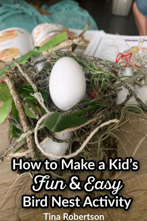 Nature lovers will adore this project how to make a kid's fun and easy bird nest activity! Hands-on, free, and so educational that it will become a favorite in your nature studies. Click here to learn how to Make a Kid's Fun and Easy Bird Nest Activity! Bird Nest Activity, Backyard Science, Outdoor Nature Activities, Homeschool Science Experiments, Bird Nest Craft, Homeschool Fun, Birding Journal, Flying Creatures, Nature Studies