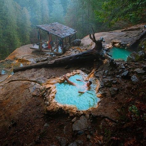 Umpqua Hot Springs: A Guide To Read Before Going There | TripZtour Umpqua Hot Springs, Pack Up And Go, Oregon Road Trip, Rv Parks And Campgrounds, Vacation Locations, West Coast Road Trip, Sea To Shining Sea, State Of Oregon, Southern Oregon