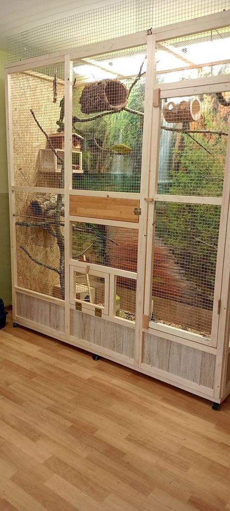 Aviary Room Indoor, Diy Indoor Bird Cage, Indoor Bird Room, Bird Atrium In House, Indoor Bird Aviary Ideas, Indoor Parrot Aviary Ideas, Pet Bird Enclosure, Diy Large Bird Cage, Bird Enclosure Indoor