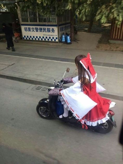 Touhou Cosplay, Touhou Anime, Japanese Funny, Sparks Joy, Vroom Vroom, Quick Jokes, Community Wall, Wall Photos, Funny Images