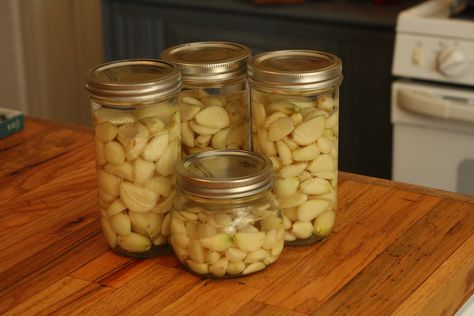 How to Preserve Garlic: A Fast, Easy Method! —  Three Acre Farm Preserve Garlic, Preserving Garlic, How To Store Garlic, Garlic Uses, Pickled Garlic, Small Glass Jars, Dinner Prep, Garlic Bulb, Cooking Oils