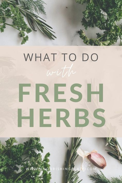 Using Fresh Herbs In Cooking, How To Use Herbs In Cooking, Cooking With Fresh Herbs Recipes, Things To Do With Fresh Herbs, How To Use Fresh Herbs, Fresh Herbs Recipes, What To Do With Fresh Herbs, Storing Fresh Herbs, Cooking With Herbs Recipes