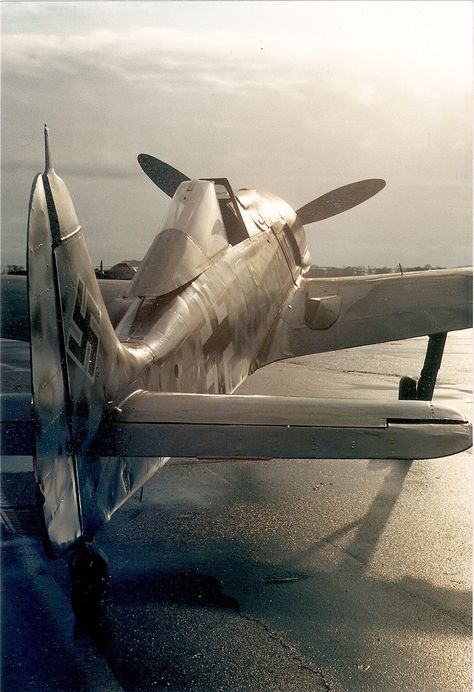 Luftwaffe Planes, Focke Wulf Fw 190, Winter Sunshine, Jet Fighter Pilot, Fw 190, Wwii Fighter Planes, Wwii Airplane, Wwii Fighters, Airplane Fighter