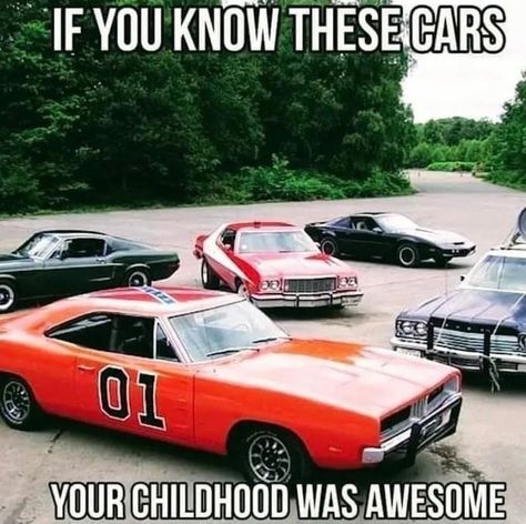 Mustang Humor, General Lee Car, Sweet Quotes For Girlfriend, Southern Humor, Car Jokes, Funny Car Memes, Bonnie Tyler, Funny Phone Cases, Smokey And The Bandit