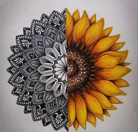 Realistic Cat Drawing, Sunflower Art Print, Sunflower Mandala, Line Art Flowers, Zentangle Mandala, Mandala Zentangle, Animation Art Sketches, Doodle Art Drawing, Meaningful Drawings