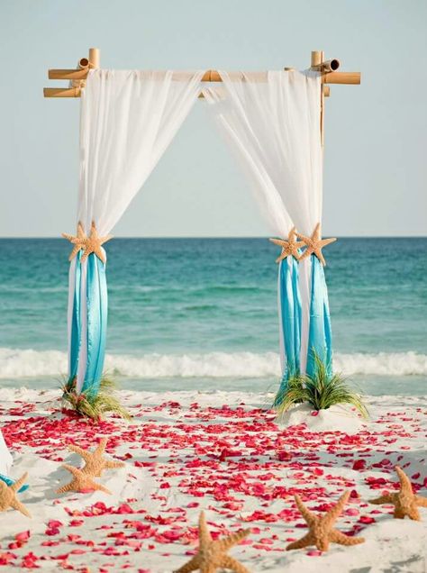 Destination Beach Wedding Ideas, Beach Wedding Arch Ideas, Starfish Wedding Decorations, Under The Sea Wedding, Beach Wedding Setup, Beach Wedding Arch, Wedding Arch Ideas, Boho Arch, Starfish Wedding