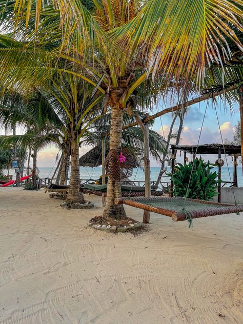 Beautiful remote lodge located in Kizimkazi, Zanzibar. #zanzibar #zanzibarhotels #Tanzania #beach #beachhotels #zanzibartravel #travel Kizimkazi Zanzibar, Tanzania Beach, Travel Tanzania, Zanzibar Hotels, Zanzibar Travel, Aesthetic Coconut, Zanzibar Beaches, Promise Land, Dream Holidays