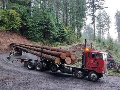 Logging Trucks, Logging Industry, Logging Equipment, Truck Driving, Big Rigs, Peterbilt, Big Trucks, Buses, Radios