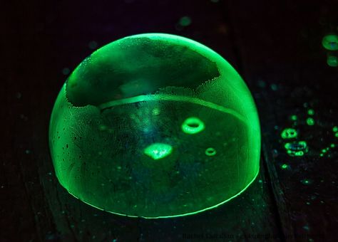 How to Make Glow in the Dark Frozen Bubbles #scienceexperiment #makingbubbles #glowinthedarkbubbles #frozenbubbles Glow Bubbles, Bubble Mixture, Frozen Bubbles, Tide Detergent, Yellow Highlighter, Glow Water, Bubble Pictures, Diy Glow, Winter Carnival