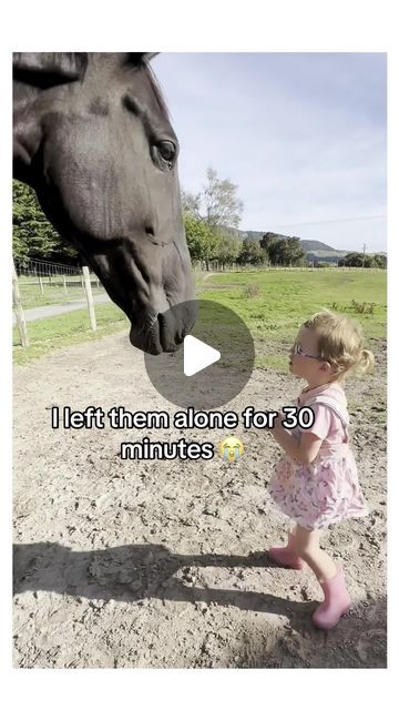 Lovingcreaturez on Instagram: "“I made her sparkle” #horsesoftiktok #horse" Beautiful Horses Rare, Unusual Horse, Funny Horse Videos, Funny Horse Pictures, Animal Humour, Horse Videos, Funny Horse, Pet Stuff, Couple Dancing