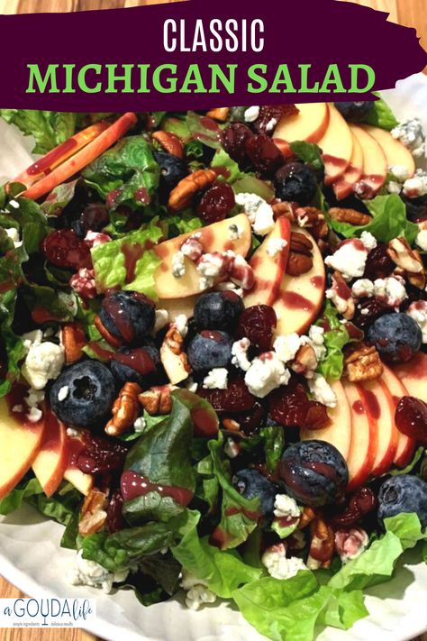 The absolute best Michigan Cherry Salad. Romaine, dried cherries, blueberries, apples, blue cheese and a simple homemade raspberry vinaigrette. #michigansalad #saladrecipes #saladwithfruit #raspberryvinaigrette #healthyeating #classicsalads #agoudalife Michigan Salad Recipe, Cherry Salad Dressing, Michigan Salad, Michigan Cherry Salad, Cherry Salad Recipes, Dried Cherry Recipes, Cherry Salad, Cherries Salad, Blueberry Salad