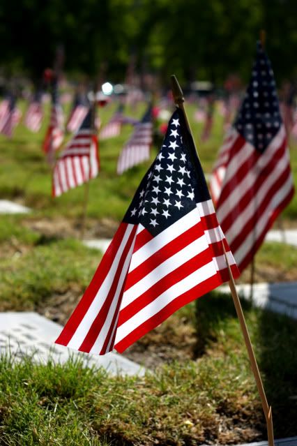 Friday Photo Flashback: Memorial Day 2009 | Soldier's Wife, Crazy Life Memorial Day Pictures, Soldier Wife, I Love America, American Flags, Home Of The Brave, Us Soldiers, Happy Memorial Day, Patriotic Holidays, Land Of The Free