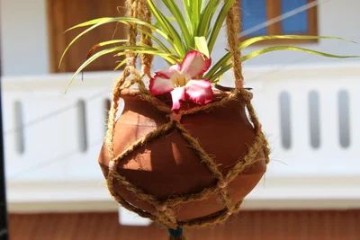 DIY Jute Rope Plant Hanger : 6 Steps (with Pictures) - Instructables How To Hang A Plant With Rope, Rope Hanging Plant, Hanging Plants Rope Diy, Hanging Plant Rope Knot, Ceiling Plant Hanger Rope, Rope Plant, Rope Plant Hanger, Patio Floor, Cut The Ropes