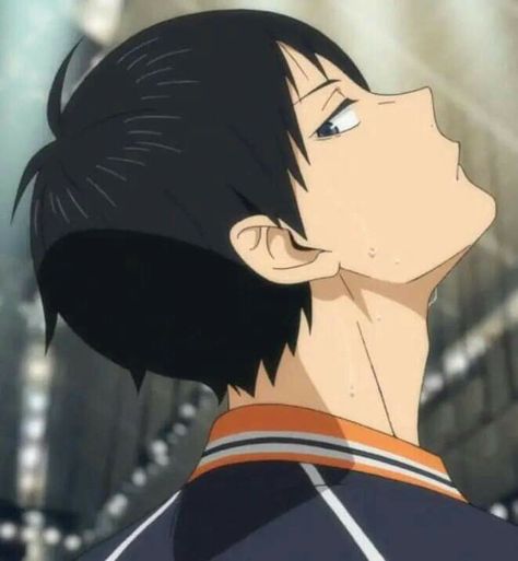 Volleyball Anime, Haikyuu Karasuno, Haikyuu Kageyama, Kageyama Tobio, Haikyuu Manga, Haikyuu Characters, Haikyuu Fanart, Stray Dogs Anime, Haikyuu Anime