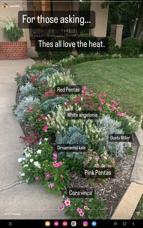 Landscape Flower Ideas, Landscape Ideas Flowers, Geranium Landscape Ideas, Large Front Yard Ideas, Organic Front Yard Landscaping, Front Yard Small Flower Bed Ideas, Garden Next To Patio, Floral Garden Landscape, Front Yard Landscaping Cottage