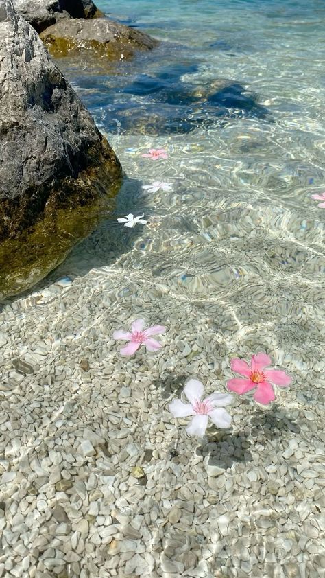 Beachy Summer Wallpaper, Summer Dream Wallpaper, Hd Water Wallpaper, Beach Waves Wallpaper Aesthetic, Summer Flower Wallpaper Iphone, Cartoon Beach Aesthetic, Tropical Ocean Aesthetic, Beach Flowers Aesthetic, Wallpapers Beach Aesthetic